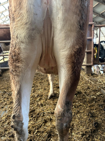 691538 921 Rumělka 24